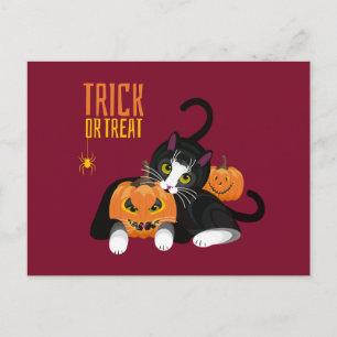 Truco o truco de halloween Cat divertida postal