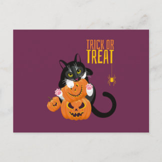 Truco o truco de halloween Cat divertida postal