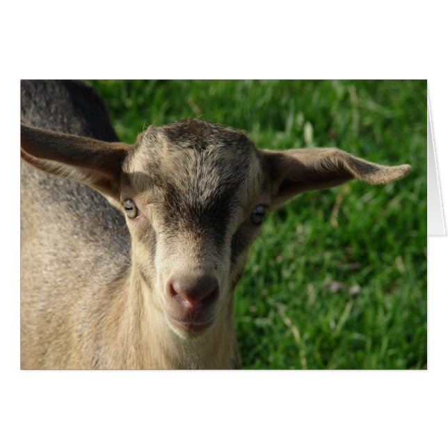 Trueno (Anverso (Horizontal))