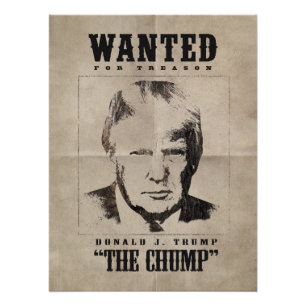 Trump quiere Poster - Trump el golpe