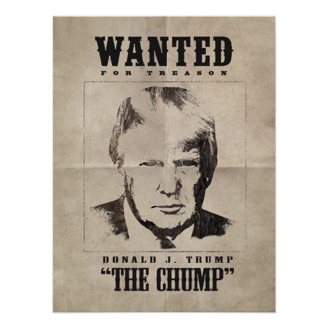 Trump quiere Poster - Trump el golpe (Anverso)