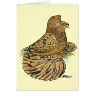 Trumpeter en inglés Almond