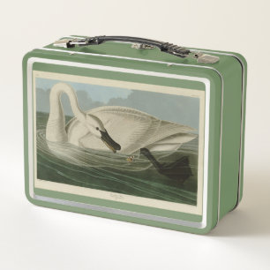 Trumpeter Swan - de los pájaros de Estados Unidos 