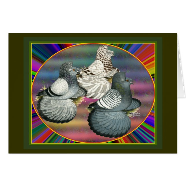 Trumpeters Pigeons Tres (Anverso (Horizontal))