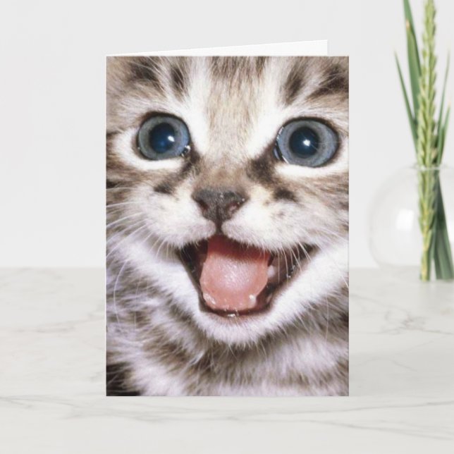 ¡Tú eres El Cats Meow! Tarjeta de gato divertida (Anverso)