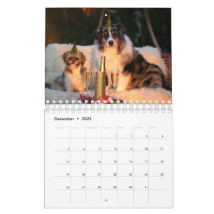 Tu foto aquí - Calendario de fotos de perros Perso
