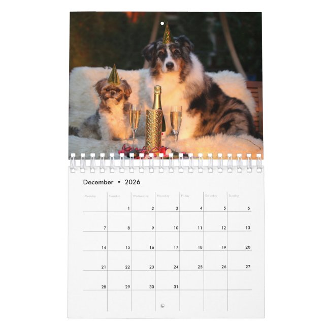 Tu foto aquí - Calendario de fotos de perros Perso (Dec 2026)