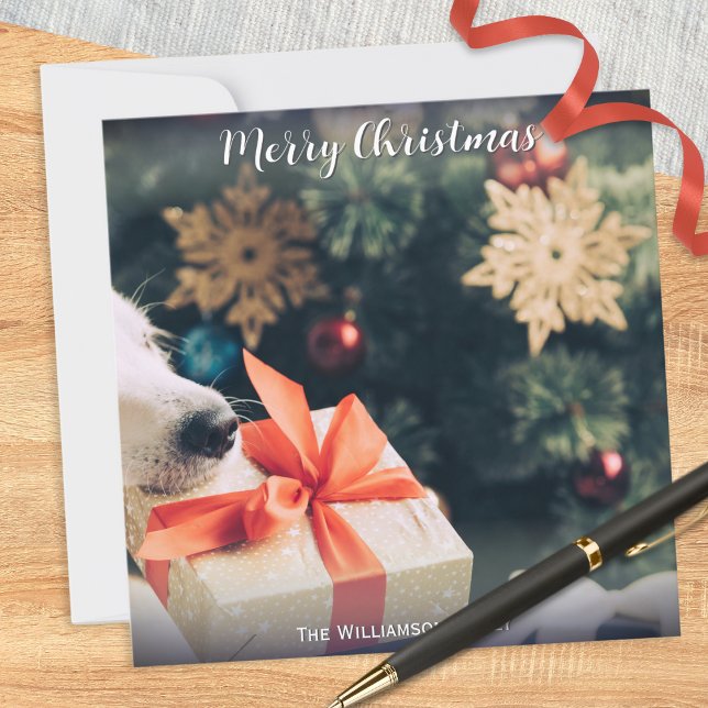 Tu foto de perro nombre personalizado Navidad mode (A Christmas card for you to personalize with a photo of your dog and your own text underneath)