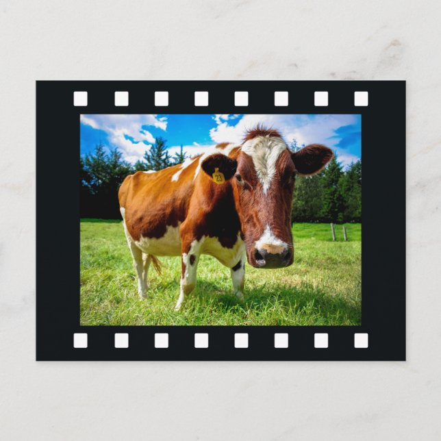 TU FOTO en la postal "tira de película" (Anverso)