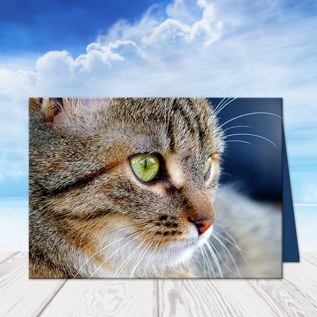 Tu gato fotográfico condolencia la tarjeta de feli (A beautiful cat sympathy card featuring your own photo (optional) with custom comforting texts)