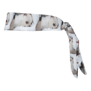 Tu mascota perro cachorro personalizado foto patró