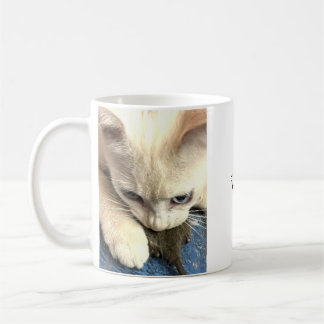 Tú me tienes para siempre, taza de café de gato