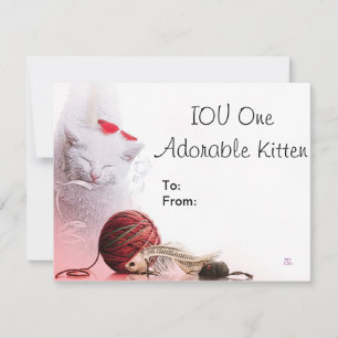 Tu One Adorable Kitten