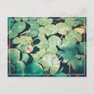 Tu tarjeta postal Flor de Nenúfar Hojas Verdes