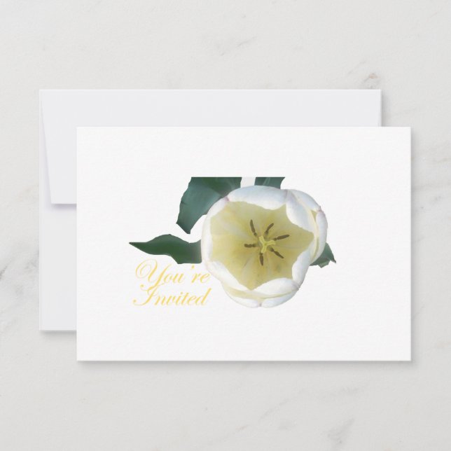 Tubo blanco INvitación (Anverso)