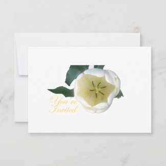 Tubo blanco INvitación