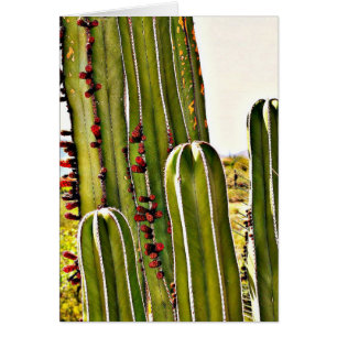 Tubo de la estufa en la floración