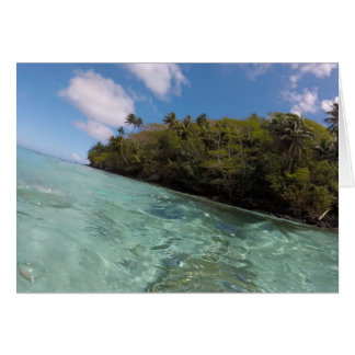 Tubo respirador de Polinesia francesa