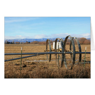 Tubos de la irrigación en campo