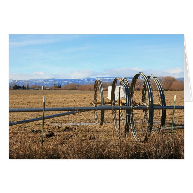 Tubos de la irrigación en campo (Anverso (Horizontal))