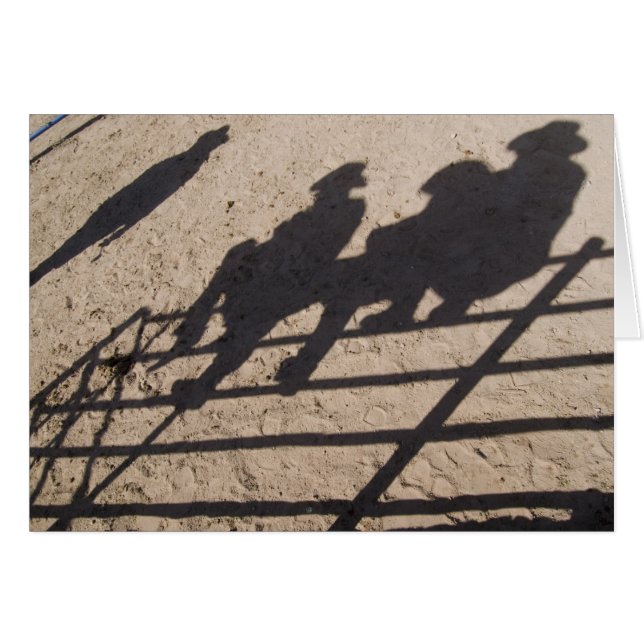Tucson, Arizona: Sombras de competidores de Rodeo (Anverso (Horizontal))