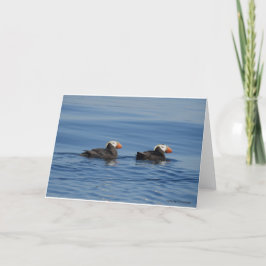 Tufted Puffins Tarjeta de agradecimiento