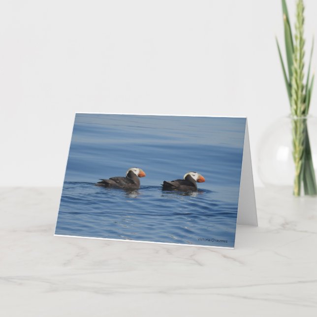 Tufted Puffins Tarjeta de agradecimiento (Anverso)