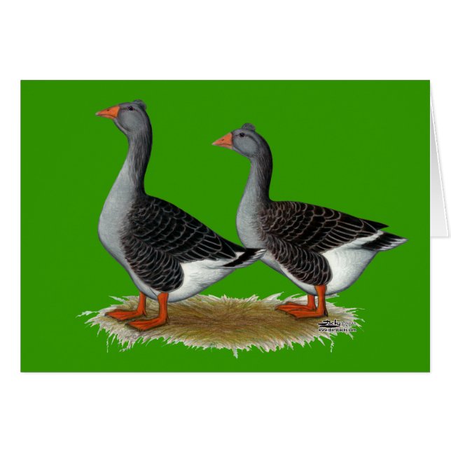 Tufted Toulouse Geese (Anverso (Horizontal))
