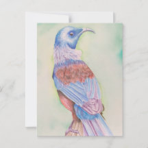 Tui - postal