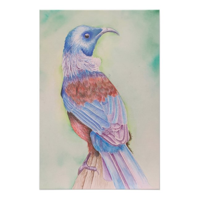 Tui - poster (Anverso)