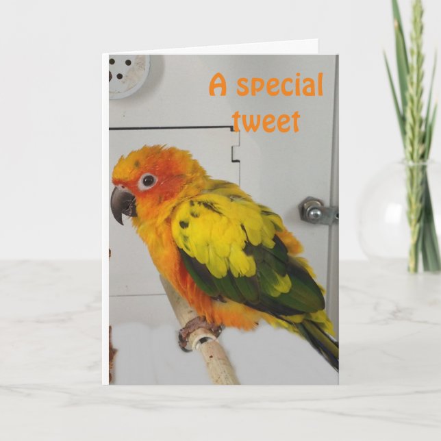 "TUITEANDO" UNA FELIZ TARJETA DE FESTIVOS DE PASO (Anverso)