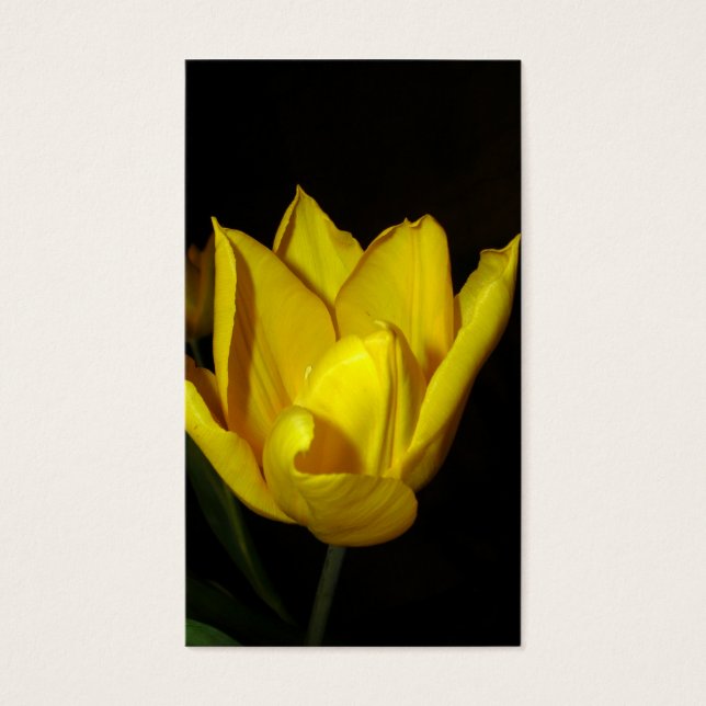 Tulip amarillo (Frente)