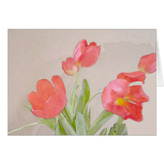 Tulip de invierno
