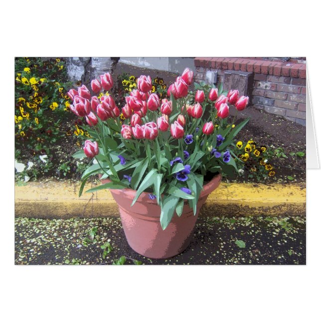 Tulip de primavera Pot (Anverso (Horizontal))