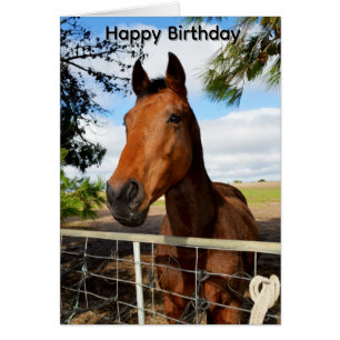Tulip El Caballo Castaño, Tarjeta de Cumpleaños