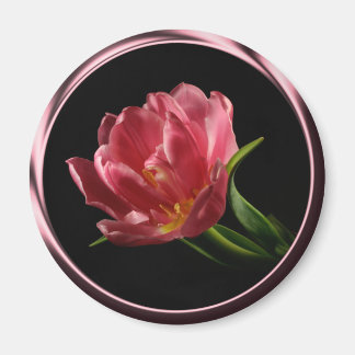 Tulip En Primavera Doble Imán Fotográfico
