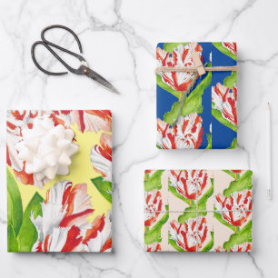 Tulip Estella Rijnveld sobre el conjunto de papel 