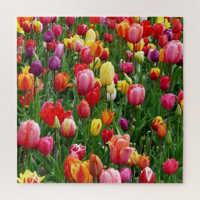 Tulip Festival Jigsaw Puzzle (Vertical)