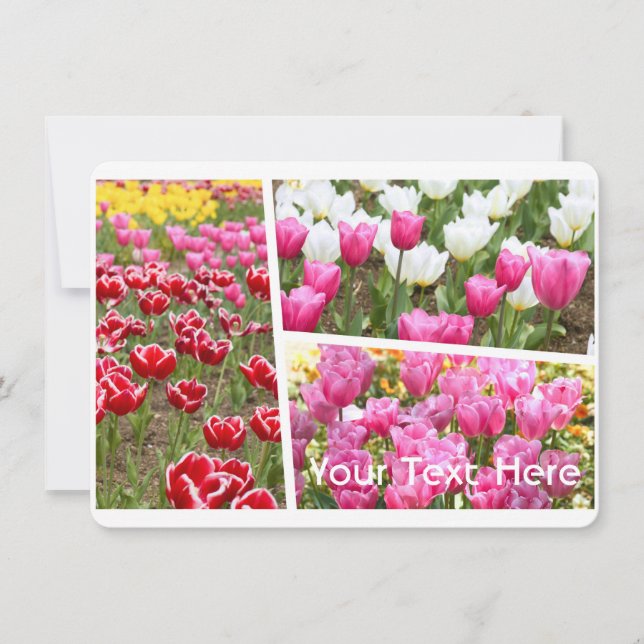 Tulip [Flat Card] (Anverso)