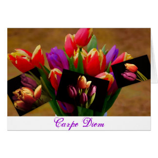 Tulip Love-Carpe Diem Card