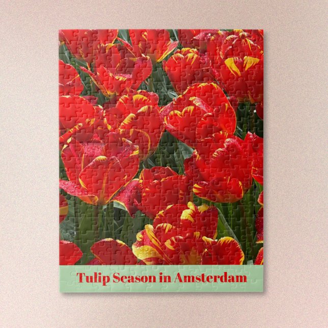 Tulip Season in Amsterdam Jigsaw Puzzle (Text may be edited or removed.)