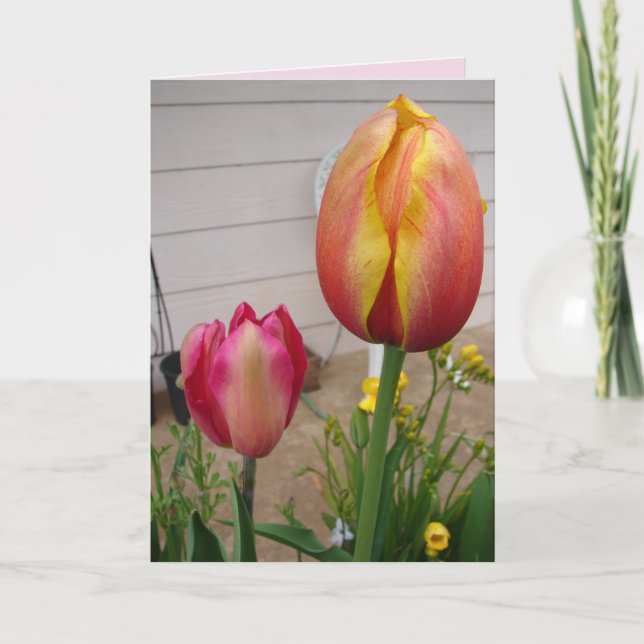 Tulip Tulips Tarjeta de cumpleaños floral de flor  (Anverso)