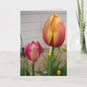 Tulip Tulips Tarjeta de cumpleaños floral de flor 