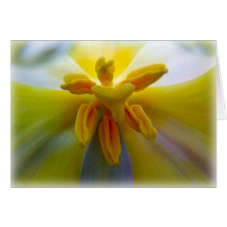 Tulipán amarillo
