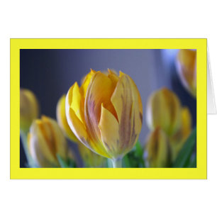 Tulipán amarillo
