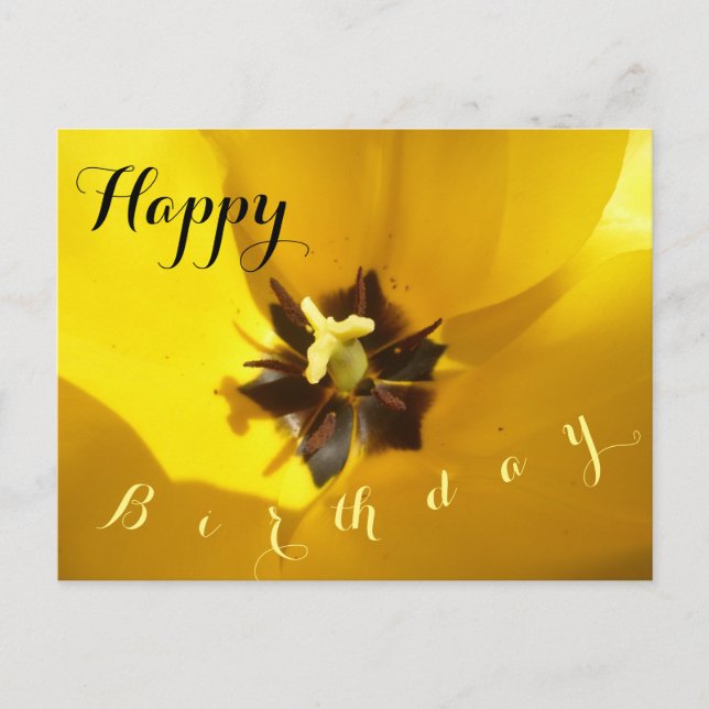 Tulipán amarillo cierra postal feliz cumpleaños (Anverso)