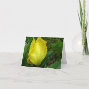 Tulipán amarillo en tarjeta de nota de la lluvia