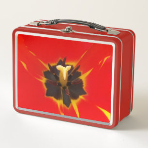 tulipán amarillo rojo