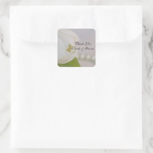 Tulipán blanco y Boda de perlas gracias etiqueta d