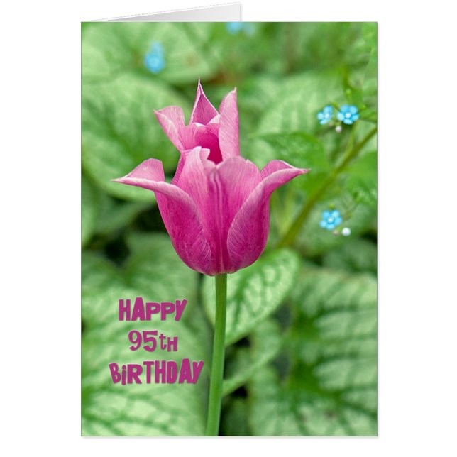 Tulipán de cumpleaños 95 (Frente)